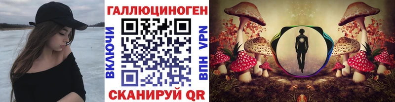 площадка телеграм  Белый  Галлюциногенные грибы Cubensis  сколько стоит 